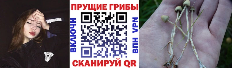 МЕГА вход  Великий Устюг  Галлюциногенные грибы мухоморы 
